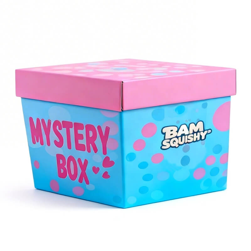 Assorted size bundle Mystery Box BAMSQUISHY